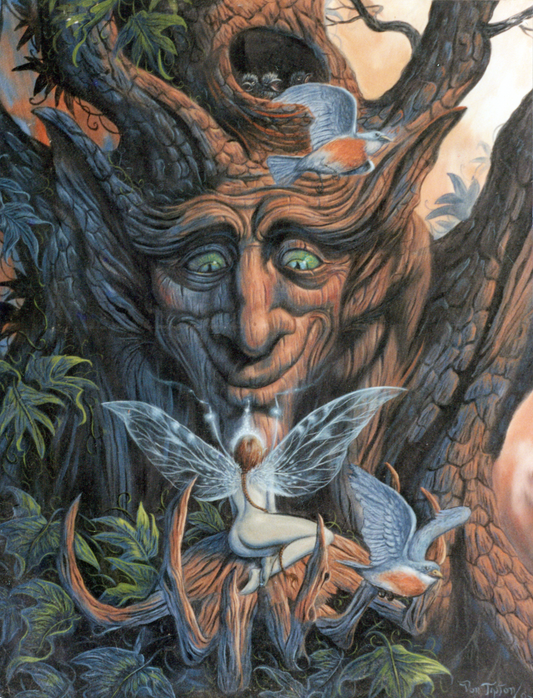 "Elderberry Blessing"