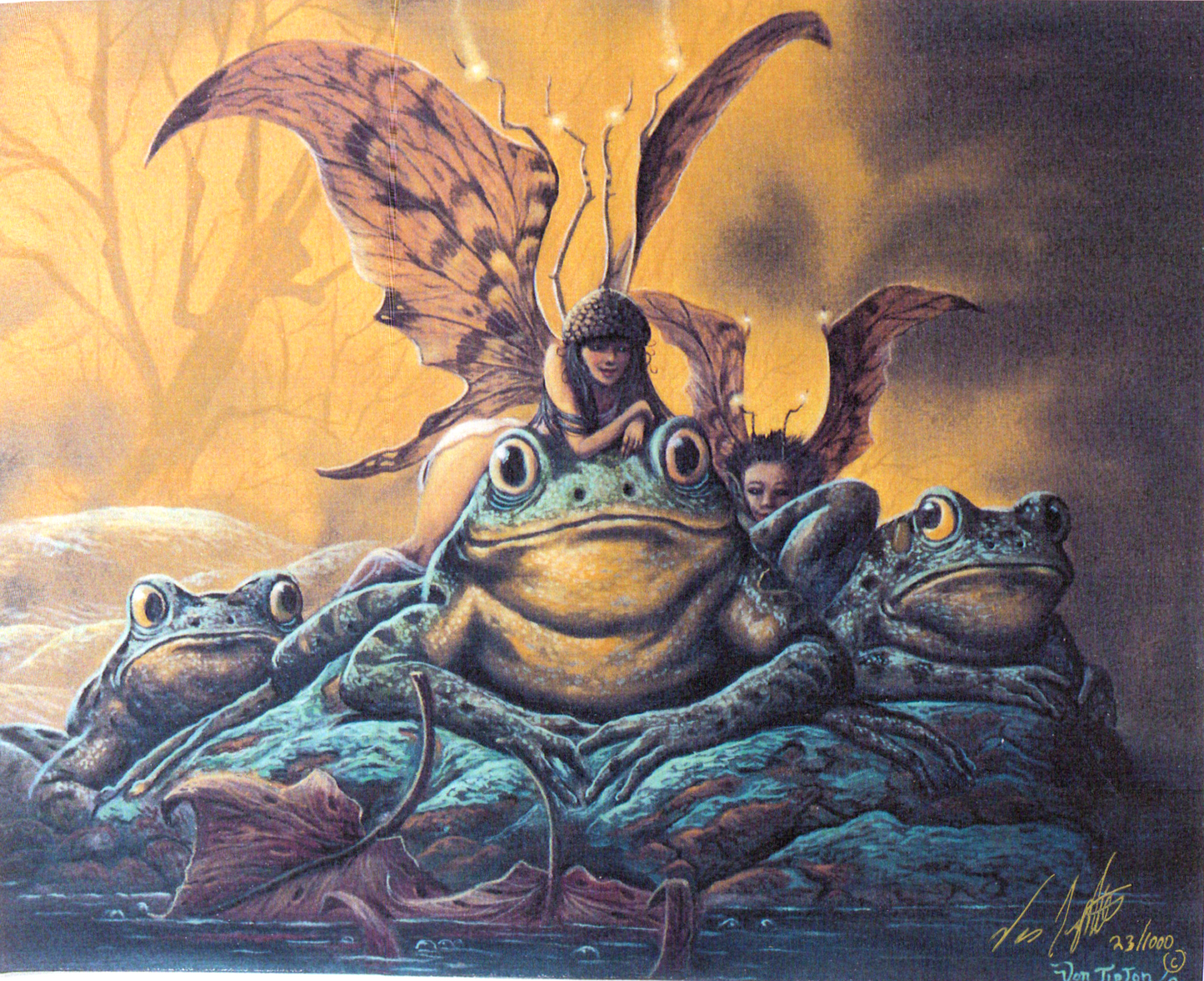 "Frogs & Fairies"