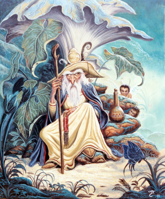 "The Hermit of Toadstool hollow"